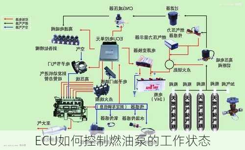 ECU如何控制燃油泵的工作状态