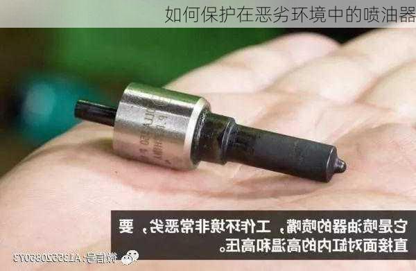 如何保护在恶劣环境中的喷油器