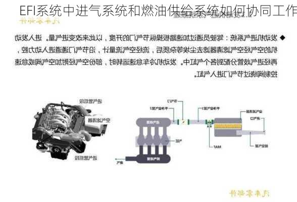 EFI系统中进气系统和燃油供给系统如何协同工作