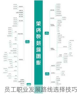 员工职业发展路线选择技巧