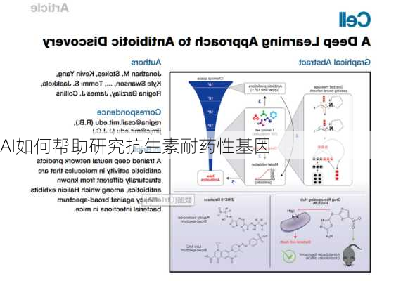 AI如何帮助研究抗生素耐药性基因