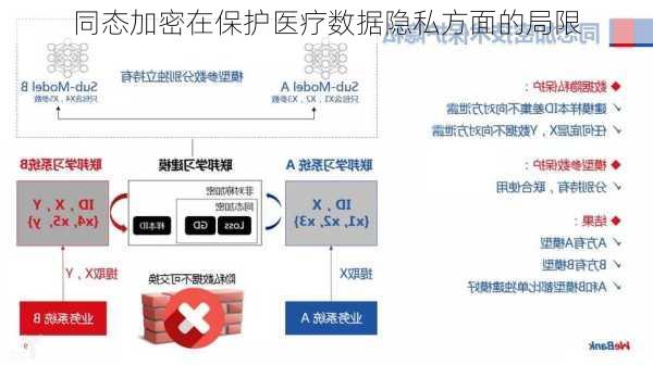 同态加密在保护医疗数据隐私方面的局限