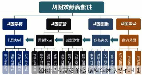 如何建立高效的数据科学团队协作机制