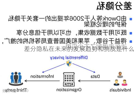 差分隐私在未来的发展趋势和挑战是什么