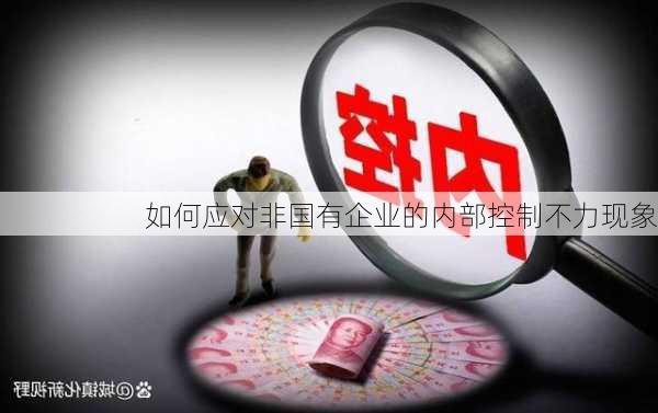 如何应对非国有企业的内部控制不力现象