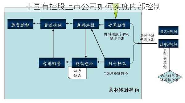 非国有控股上市公司如何实施内部控制