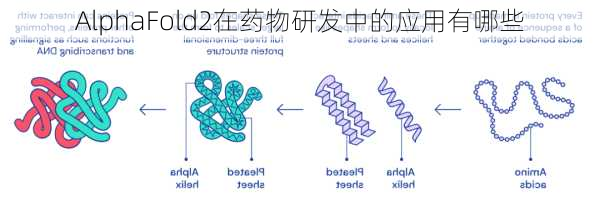 AlphaFold2在药物研发中的应用有哪些