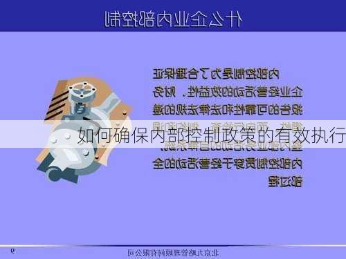 如何确保内部控制政策的有效执行