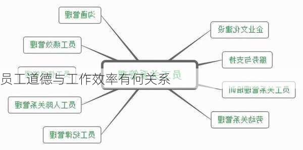 员工道德与工作效率有何关系