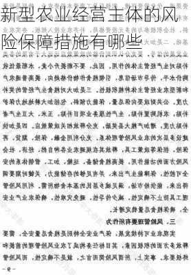 新型农业经营主体的风险保障措施有哪些