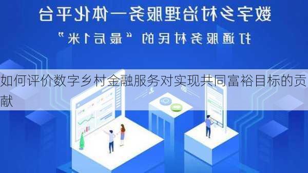 如何评价数字乡村金融服务对实现共同富裕目标的贡献