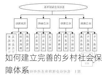 如何建立完善的乡村社会保障体系