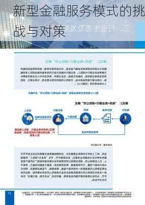 新型金融服务模式的挑战与对策