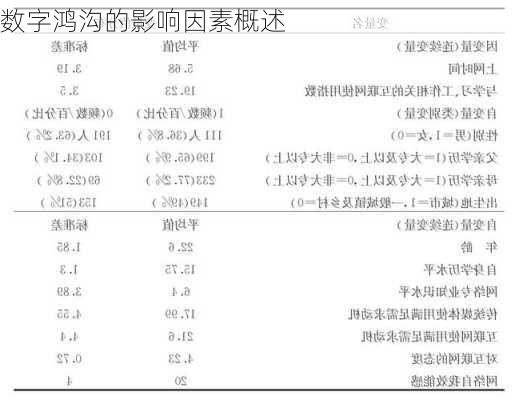 数字鸿沟的影响因素概述