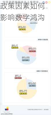 政策因素如何影响数字鸿沟