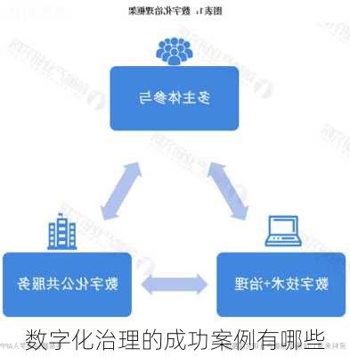 数字化治理的成功案例有哪些