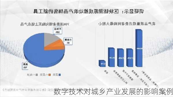 数字技术对城乡产业发展的影响案例