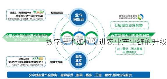 数字技术如何促进农业产业链的升级