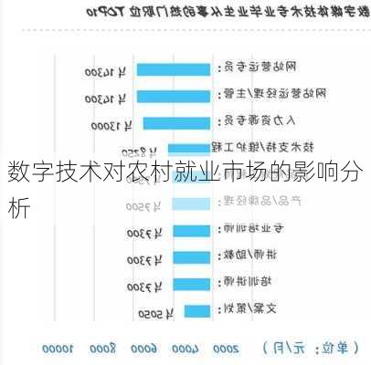 数字技术对农村就业市场的影响分析