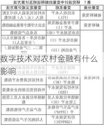 数字技术对农村金融有什么影响