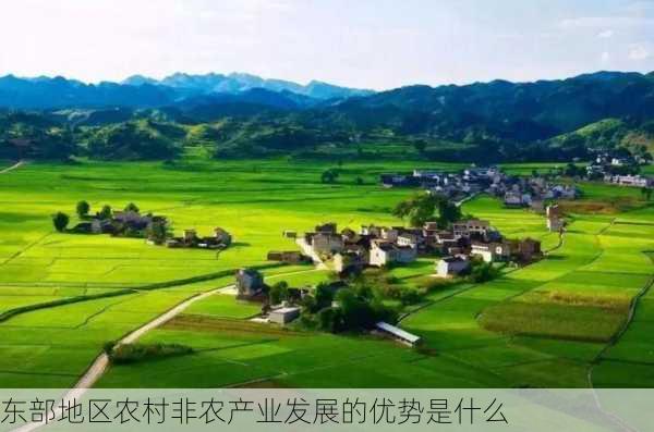 东部地区农村非农产业发展的优势是什么