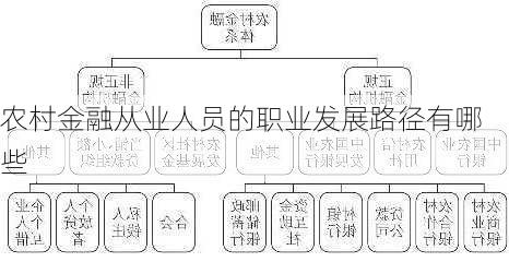 农村金融从业人员的职业发展路径有哪些