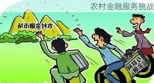 农村金融服务挑战