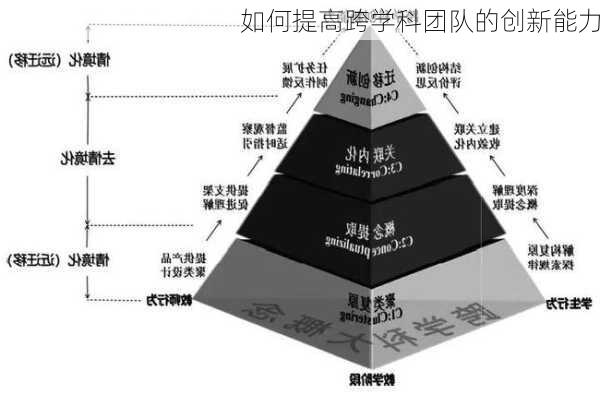 如何提高跨学科团队的创新能力