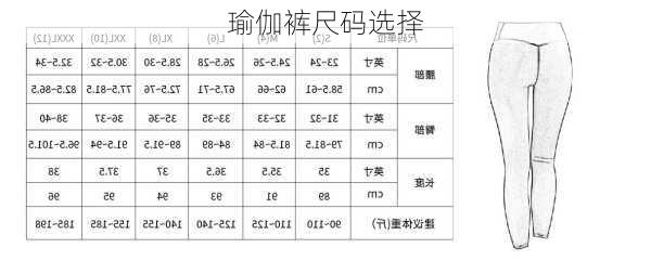 瑜伽裤尺码选择