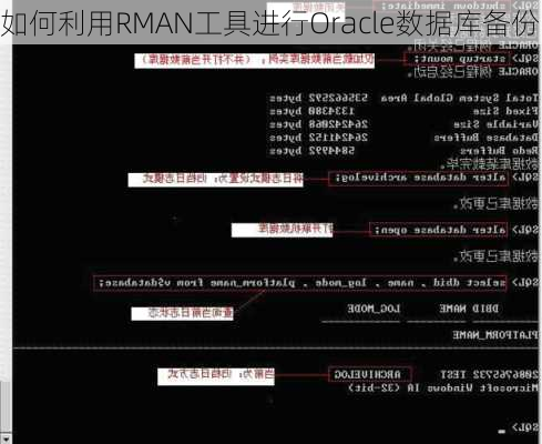 如何利用RMAN工具进行Oracle数据库备份