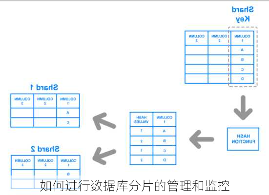 如何进行数据库分片的管理和监控