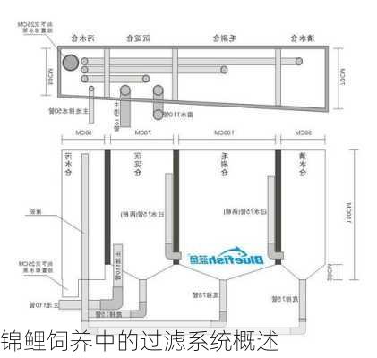 锦鲤饲养中的过滤系统概述