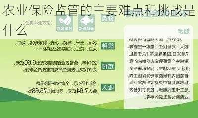 农业保险监管的主要难点和挑战是什么