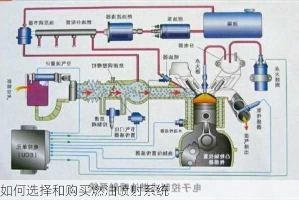 如何选择和购买燃油喷射系统