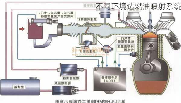 不同环境选燃油喷射系统