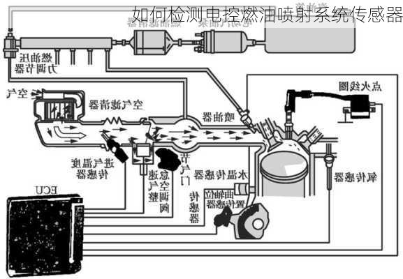 如何检测电控燃油喷射系统传感器