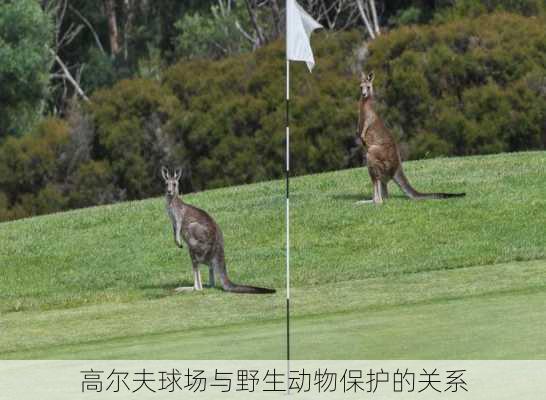 高尔夫球场与野生动物保护的关系