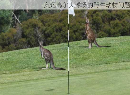 奥运高尔夫球场的野生动物问题