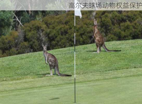 高尔夫球场动物权益保护