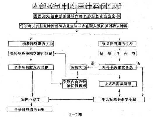 内部控制制度审计案例分析