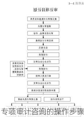 专项审计咨询的操作步骤