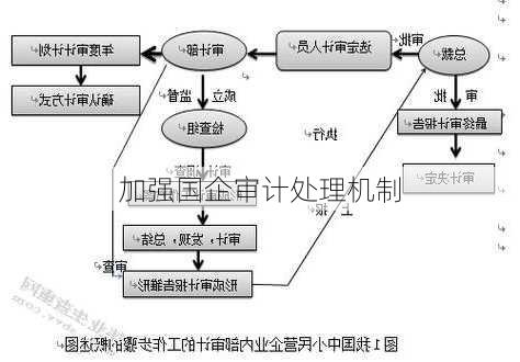 加强国企审计处理机制