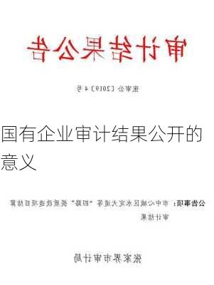 国有企业审计结果公开的意义