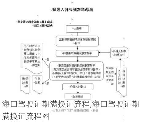 海口驾驶证期满换证流程,海口驾驶证期满换证流程图