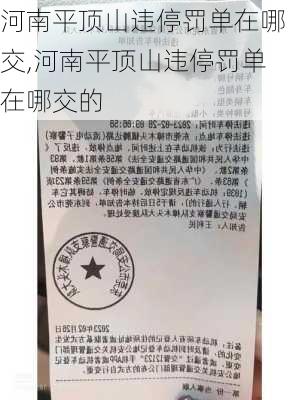 河南平顶山违停罚单在哪交,河南平顶山违停罚单在哪交的