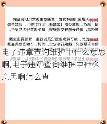 电子违章查询维护中什么意思啊,电子违章查询维护中什么意思啊怎么查