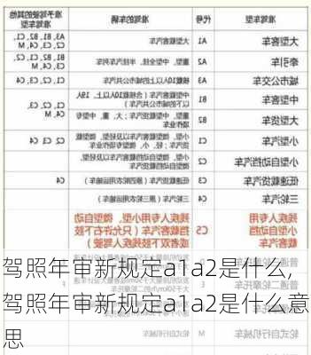 驾照年审新规定a1a2是什么,驾照年审新规定a1a2是什么意思