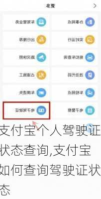 支付宝个人驾驶证状态查询,支付宝如何查询驾驶证状态