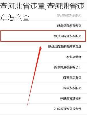 查河北省违章,查河北省违章怎么查