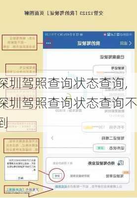 深圳驾照查询状态查询,深圳驾照查询状态查询不到